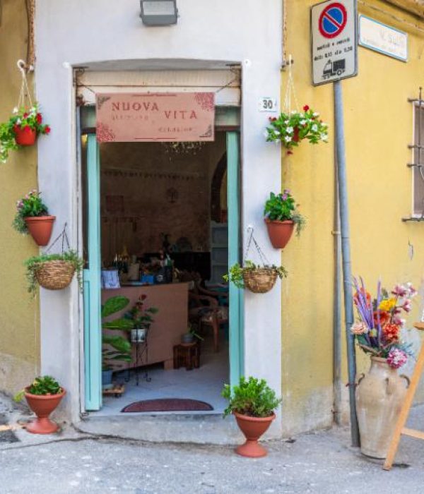 Nuova Vita, Restyling e Creazioni (25)